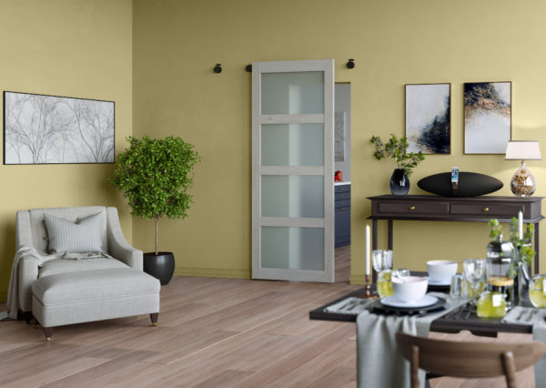Modern barn door with translucent glass and plant in the corner of the room
